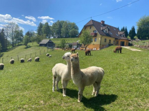 Biohof Kroisleitner Sankt Jakob Im Walde
